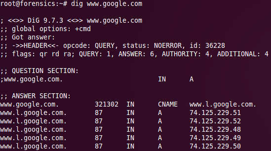 Correct IP address for google